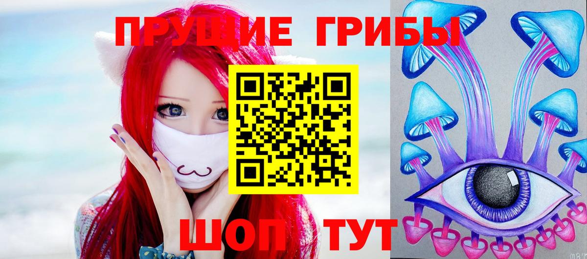 Крымск  Псилоцибиновые грибы Psilocybe  цены   Вход с VPN 